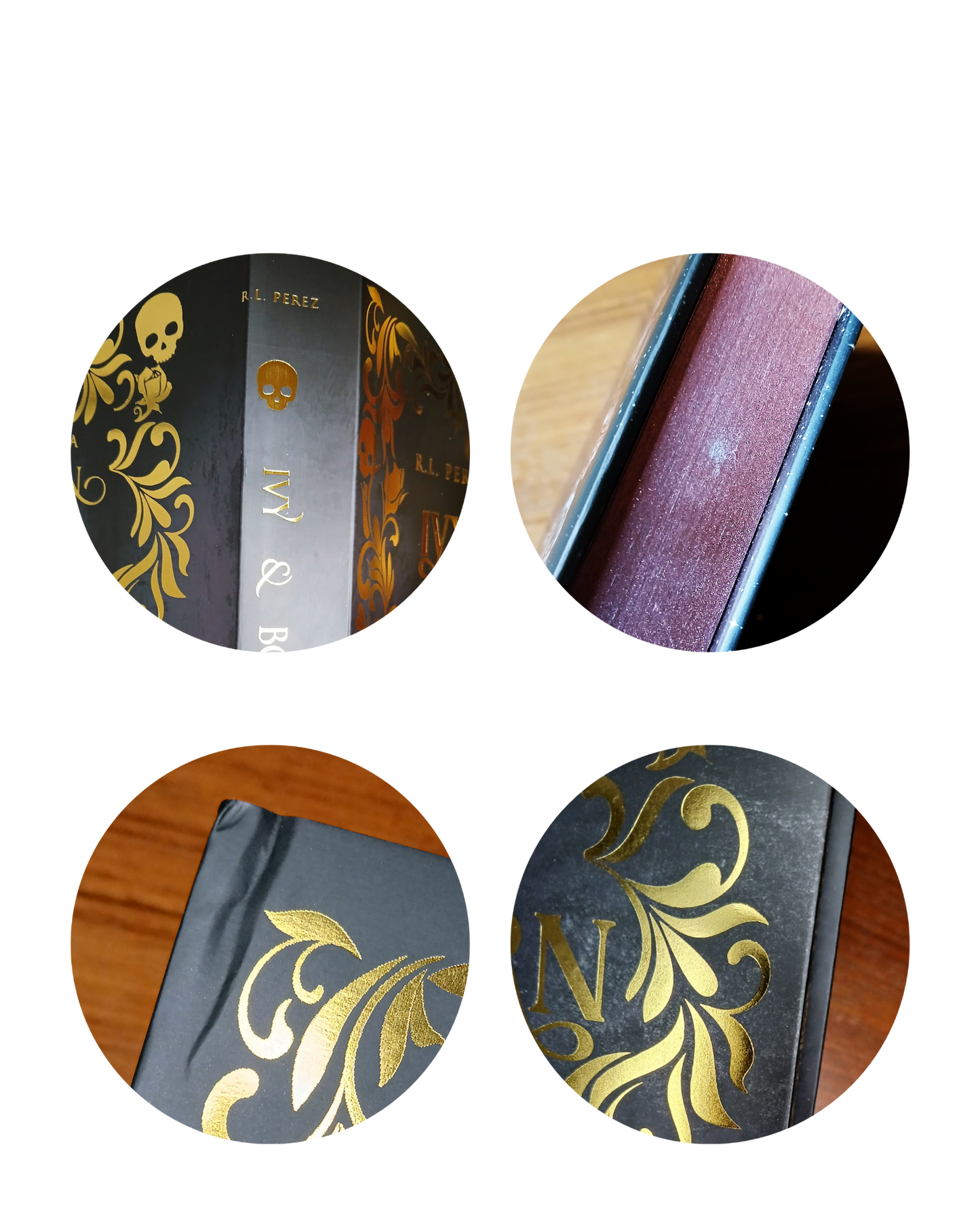 Ivy & Bone 1-3 SCRATCH & DENT Bundle