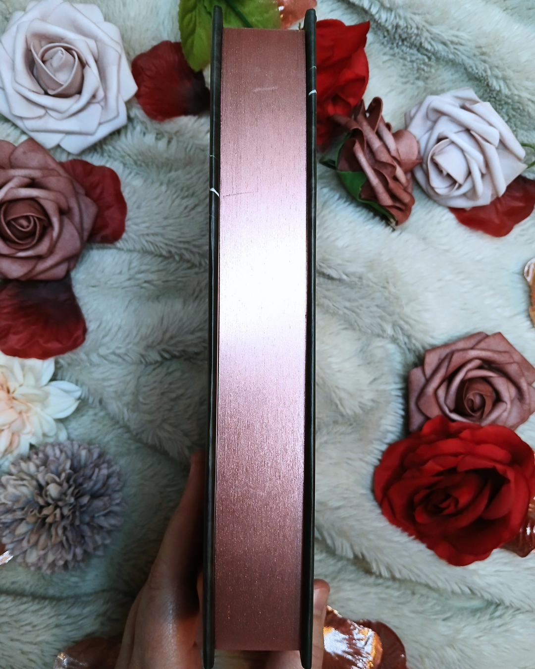 Crown of Briars Beastly Edition (Scratch & Dent)