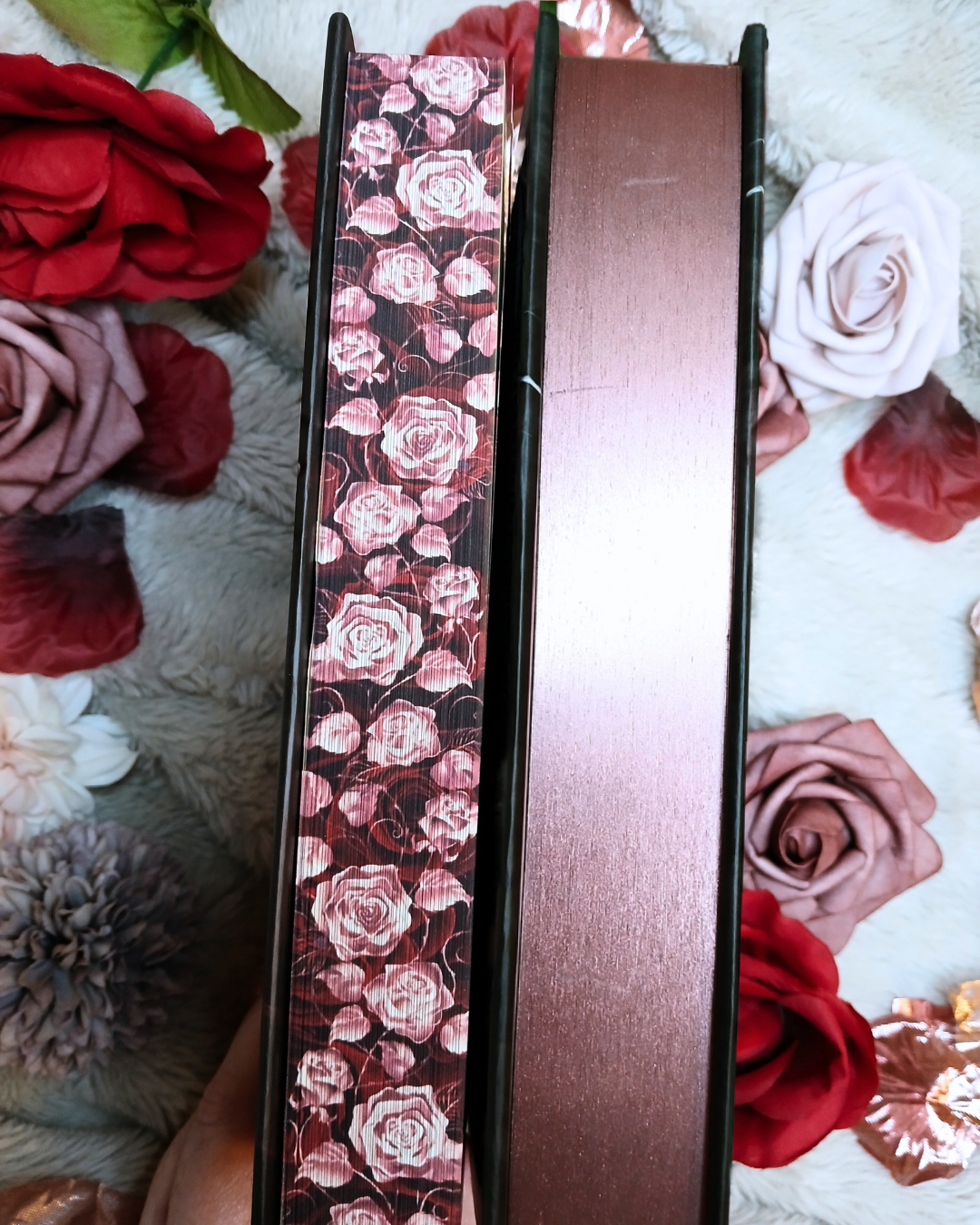 Crown of Briars Special Edition Bundle