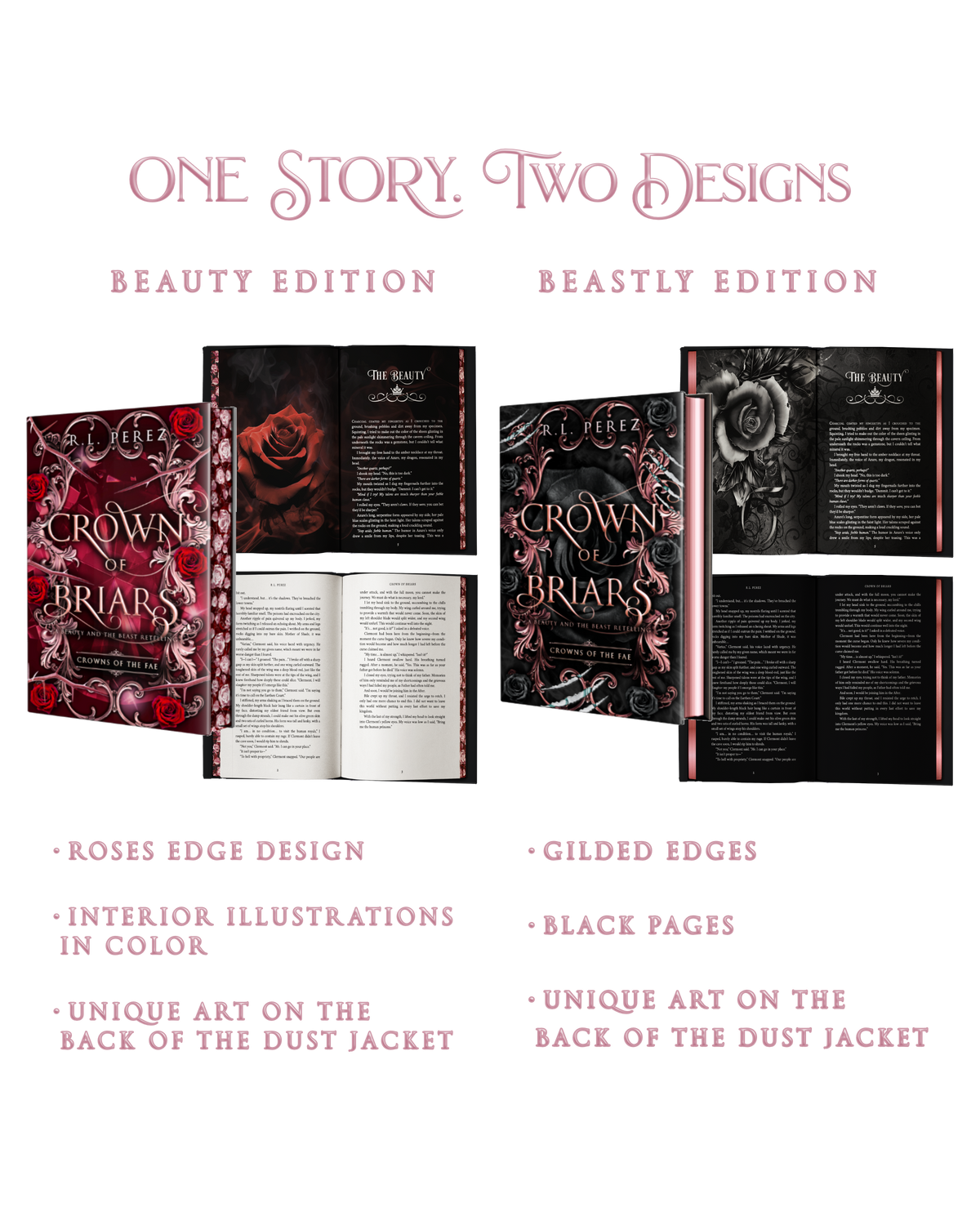 Crown of Briars Special Edition Bundle